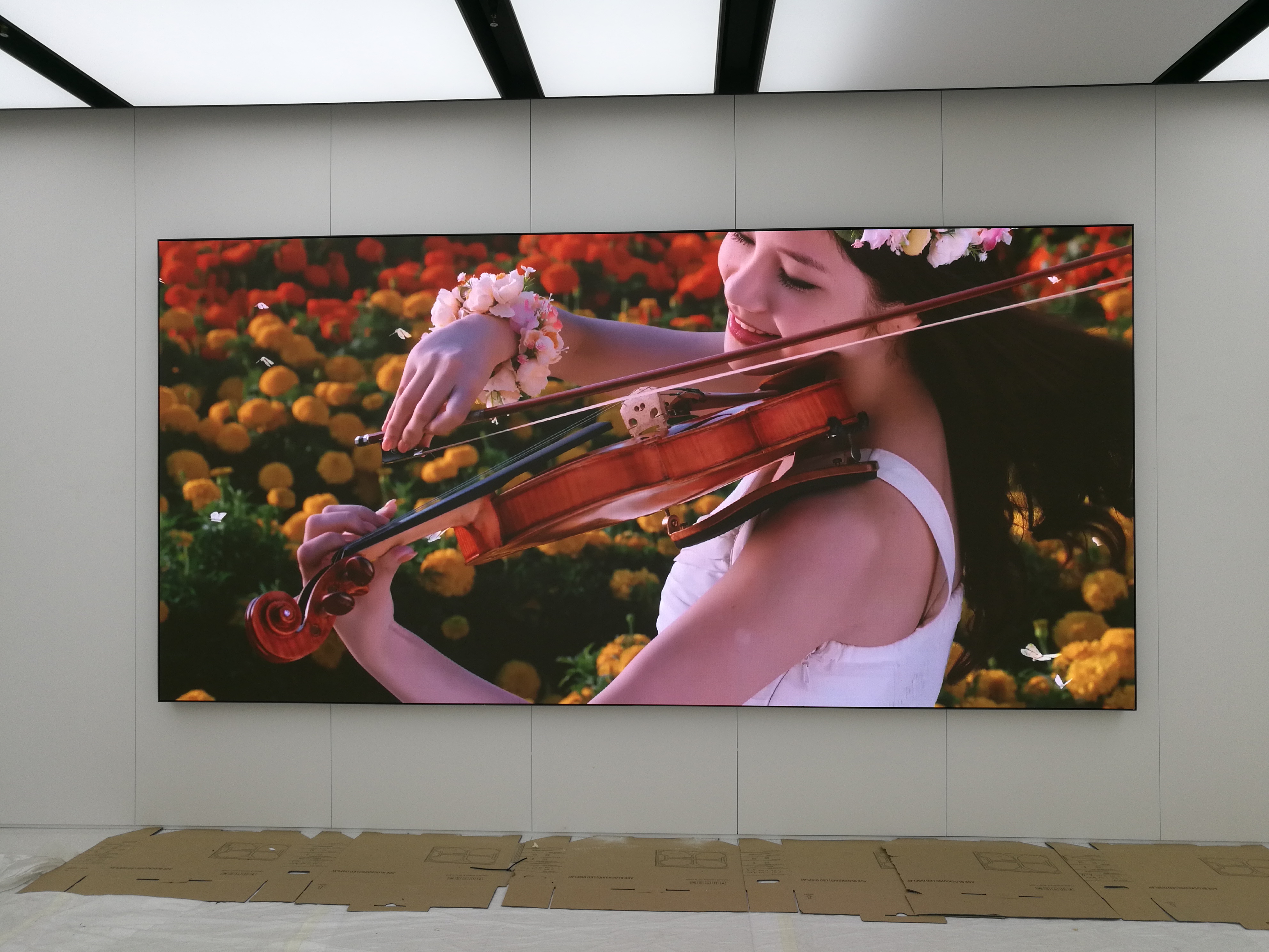 Pixel Pitch-1.25mm